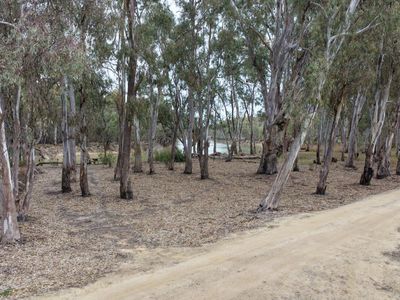 11 WHIRLPOOL LANE, Murrabit