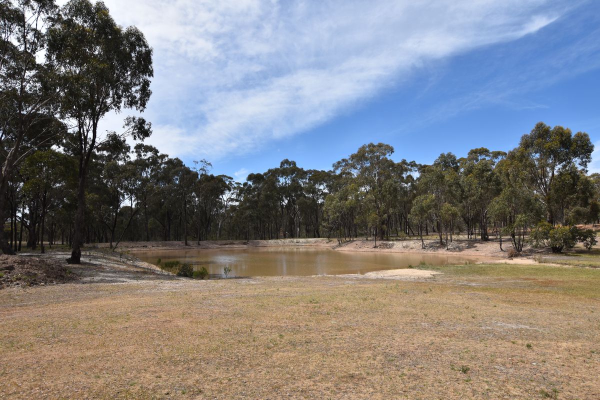 56 Frenchmans Road, Waranga Shores