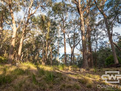 Lot 140, / Dellwood Road, Deepwater