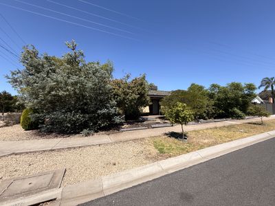 39 Landy Street, Horsham