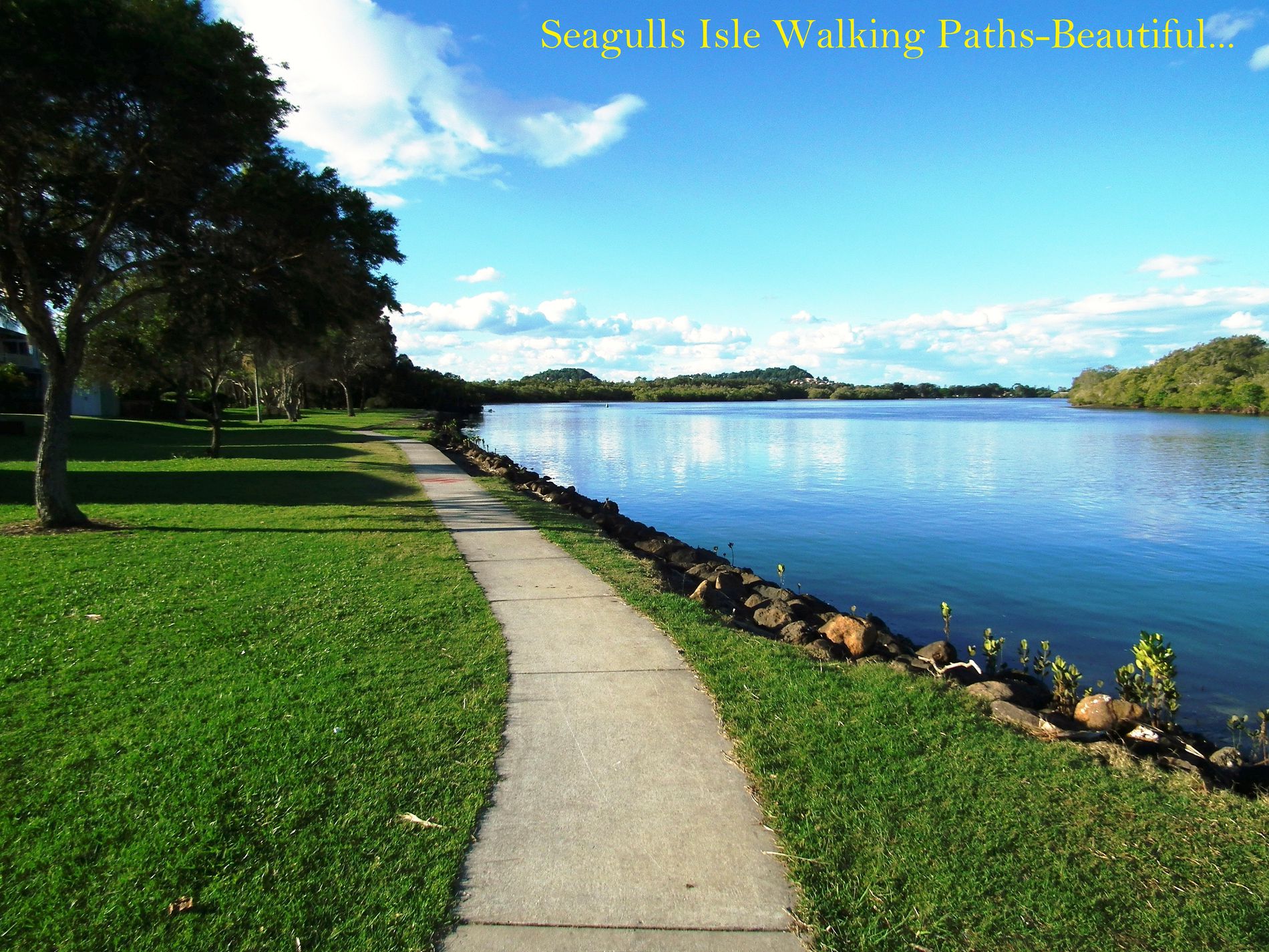 2 / 137 Sunset Boulevarde, Tweed Heads West