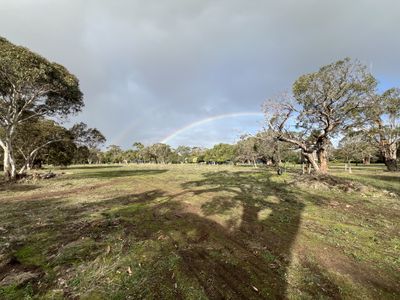 Lot 50, Banya Road South, Millicent