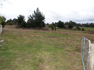 53 Chitty's Road, Franklin