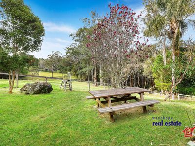 961 Comboyne Road, Byabarra