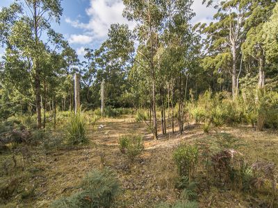 Lot 1 Jager Road, Southport