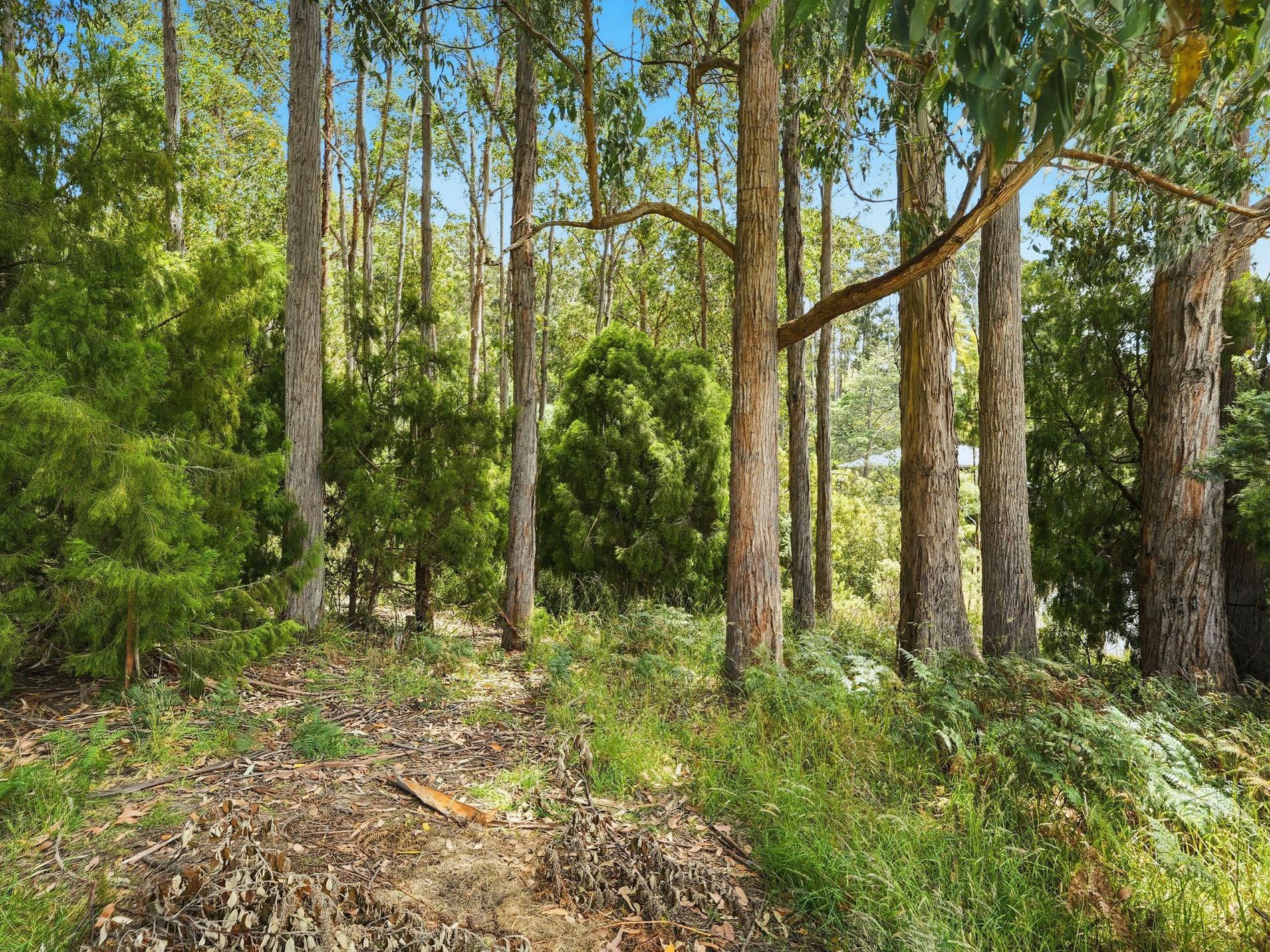 Lot 10, Esperance Coast Road, Dover