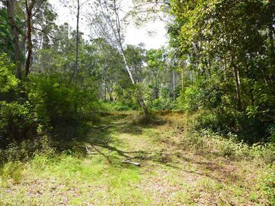 64 Aracuaria Creek Road, Brooloo