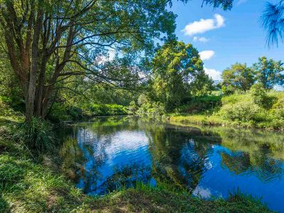 401 Terania Creek Road, The Channon