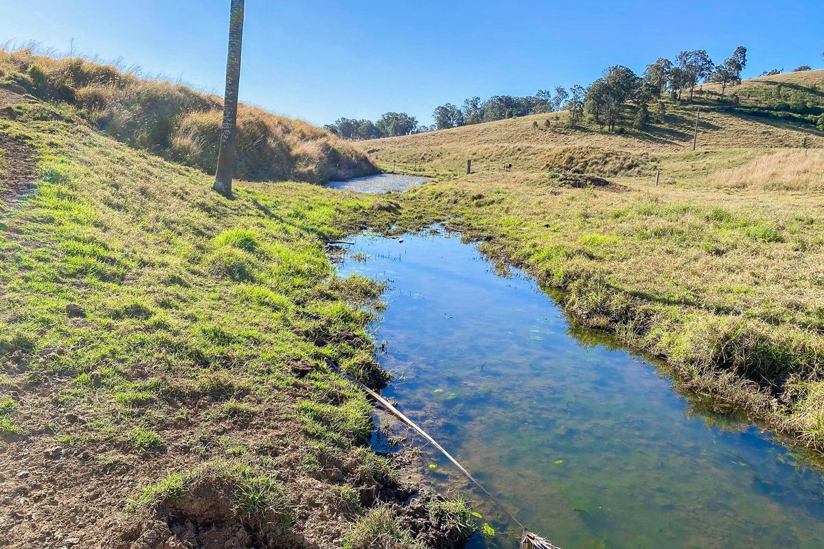 682 Bunyah Road, Bunyah