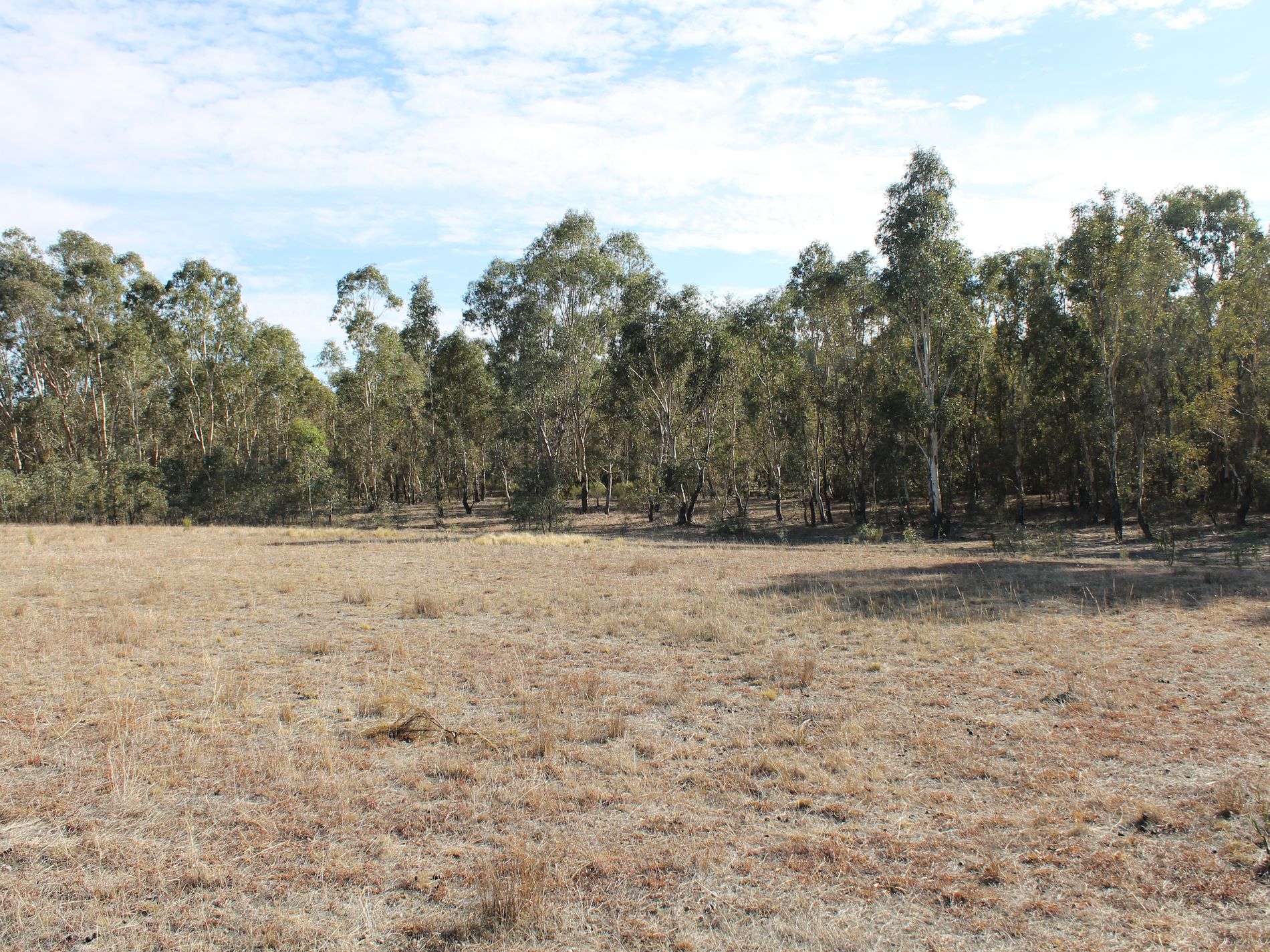 Lot 5, Davis Road, Mount Camel