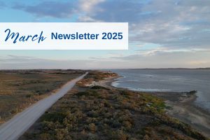 March Newsletter