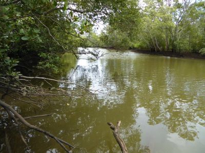 Lot 9 McAuleys Lane, Mullumbimby