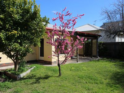 342 Aberdeen Street, Newtown