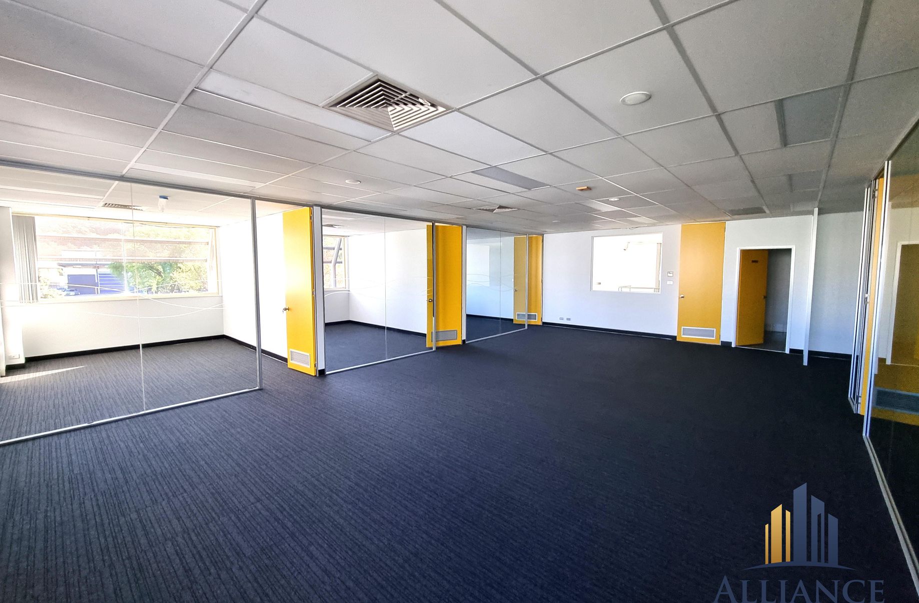 48 Williamson Road, Ingleburn