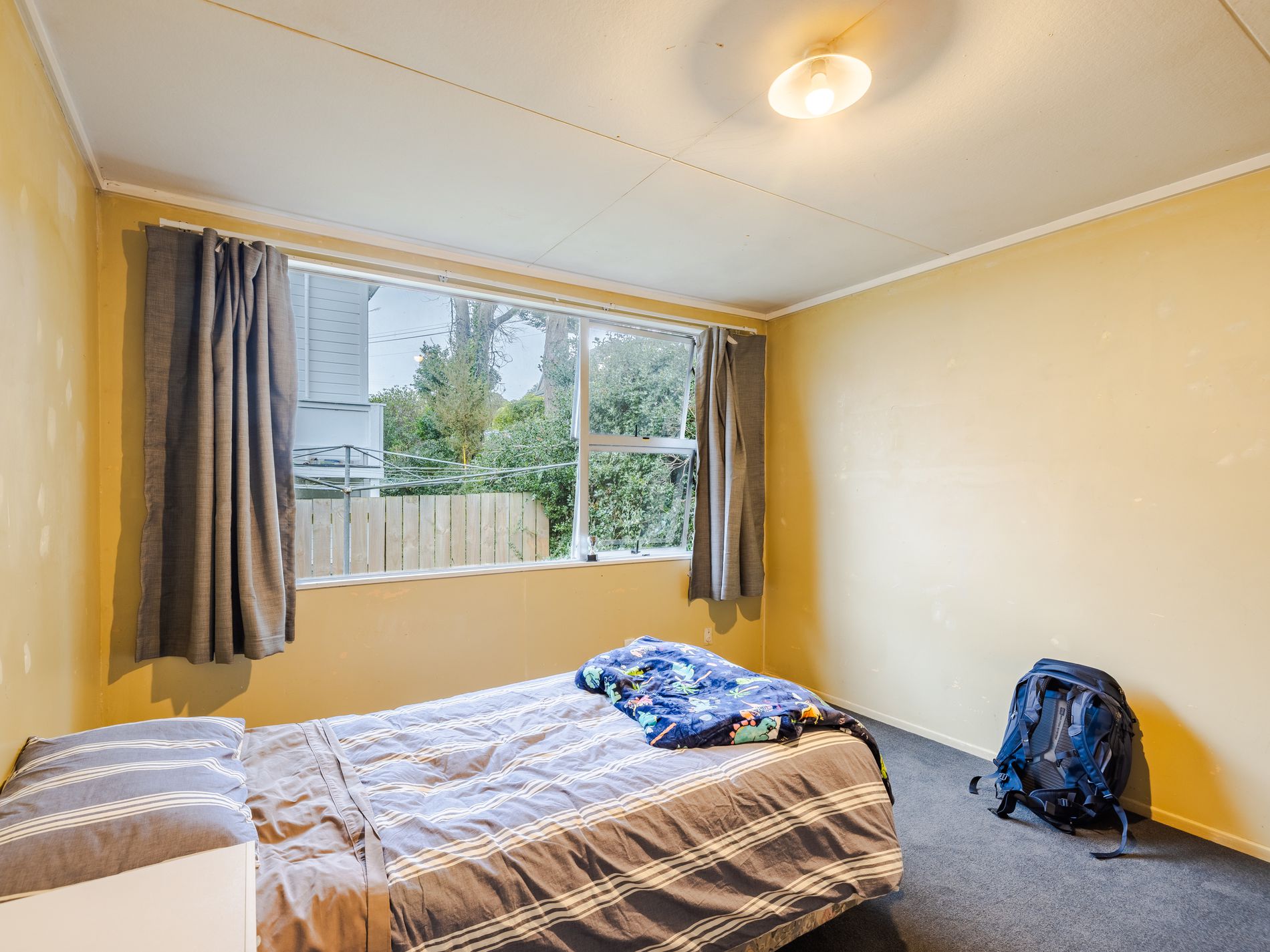 37 Carlyle Street, North East Valley