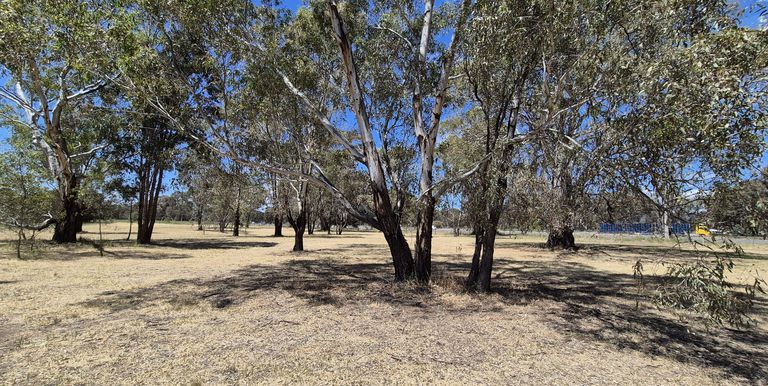 Lot 1, Irwin Street, Violet Town