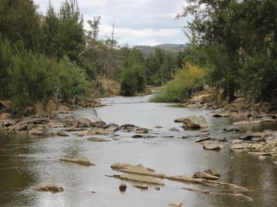1735 The Bridle Track, Bruinbun
