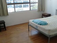 7 / 18 Orchid Avenue, Surfers Paradise