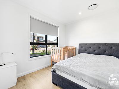 16 Planthopper Street, Marsden Park