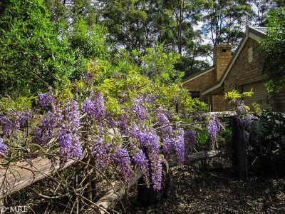 47 Obi Obi Rd, Mapleton