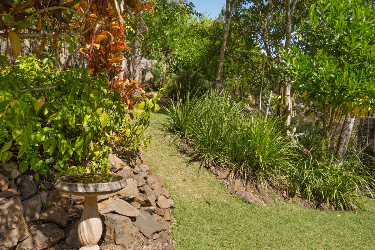 Lismore Heights