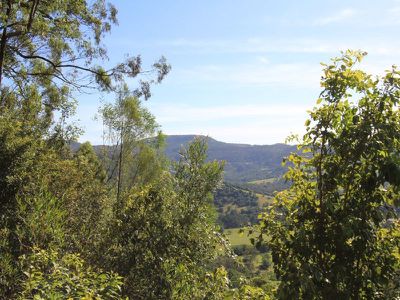 339 Free Selectors Road, Foxground