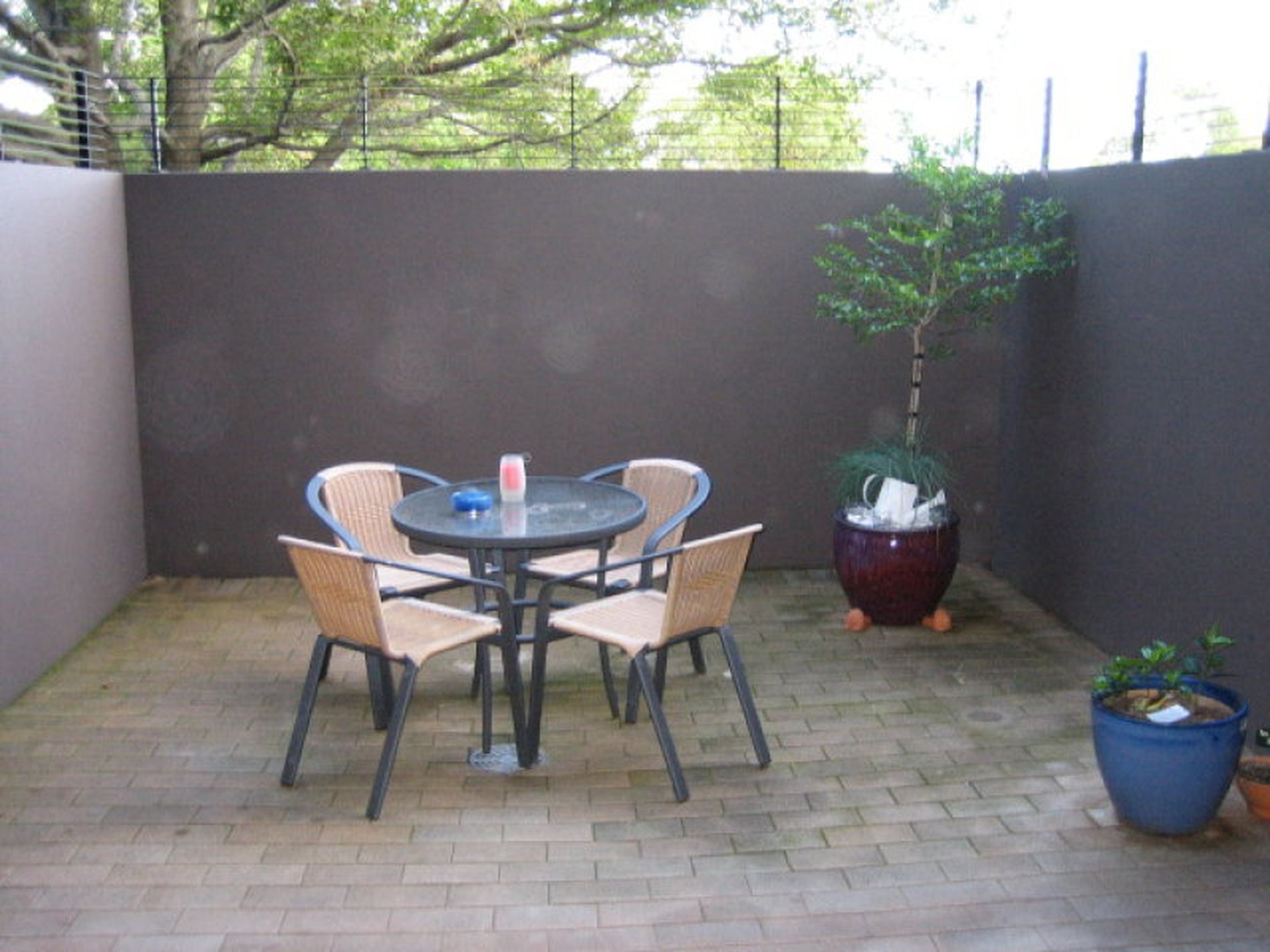 2 / 1-3 Coronation Avenue, Petersham