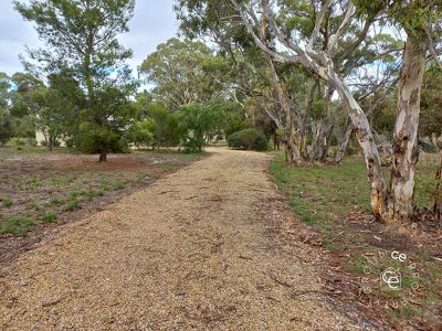 Cockatoo Valley