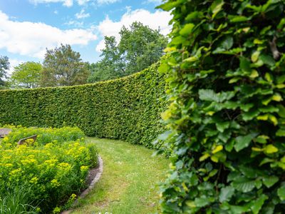 Absolute Business Brokers