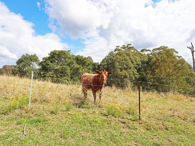 159 Wards Creek Road, Krambach