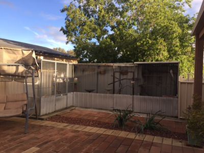 38 Ottrey Street, Pyramid Hill