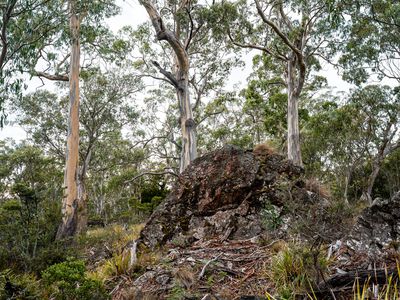 'Hardings Bay Retreat', Lake Leake Road, Lake Leake