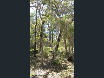 15 Hale Avenue, Molloy Island