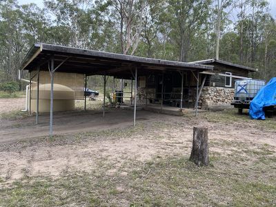 Wattle Camp