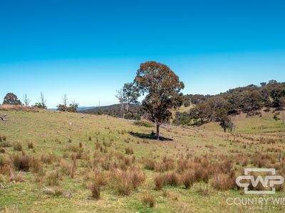 Lot 11, Ten Mile Rd, Deepwater