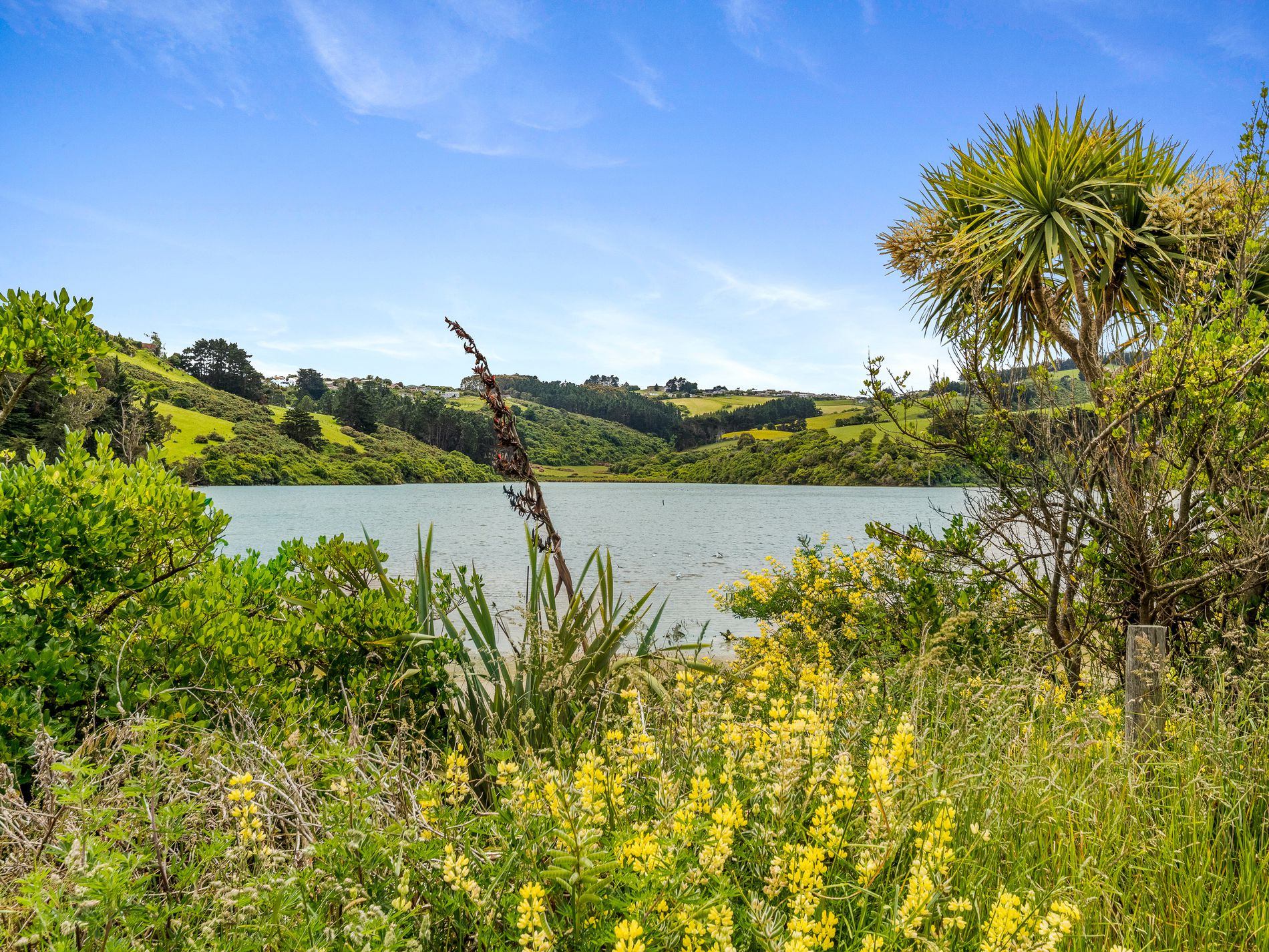 242 Tomahawk Road, Ocean Grove