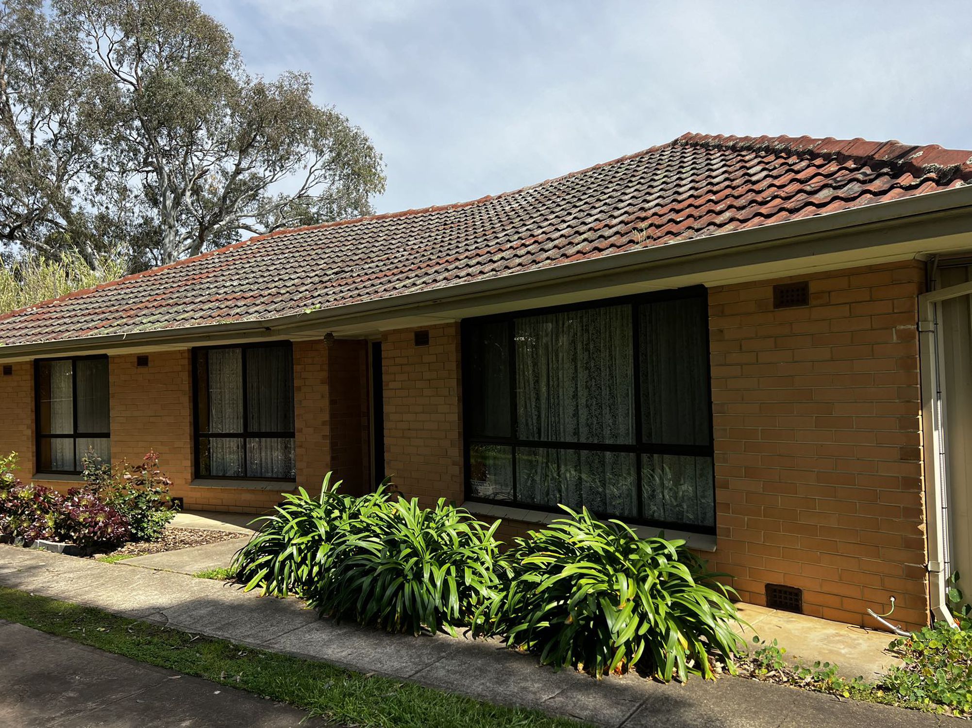 21 Clyde Street, Modbury