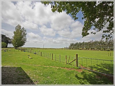 296 Motuiti Road, Foxton
