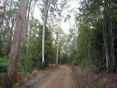 Lloyds Road, Franklin