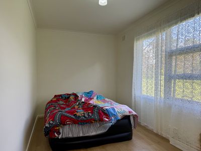 177 Williams Road, Millicent