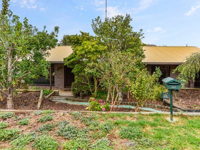 13 Montgomery Avenue, Mount Gambier