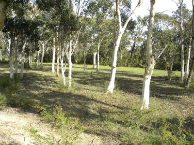 Level Lot / 21 Wandra Road, Sussex Inlet