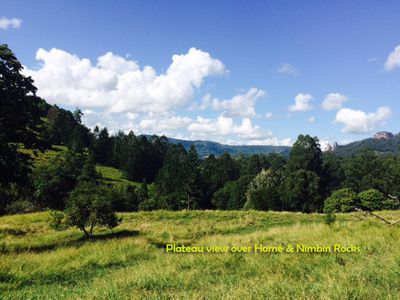 376 Stony Chute Road, Stony Chute