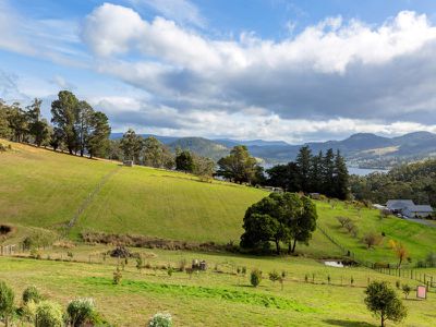 14 Cawthorns Road, Wattle Grove