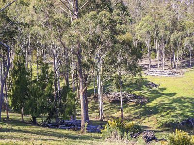Lot 1 Walters Road, Wattle Grove