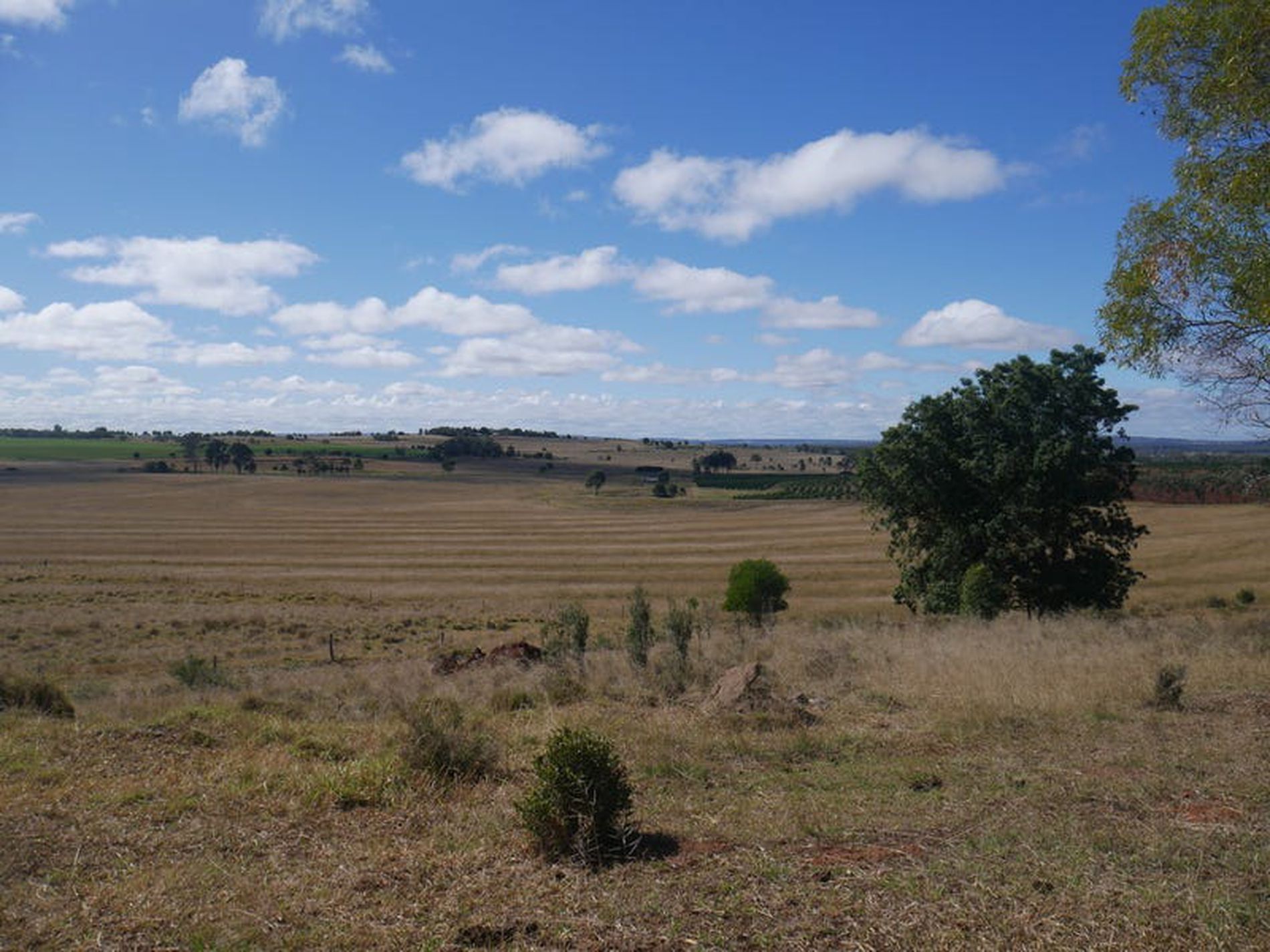 376 Reedy Creek, Kingaroy