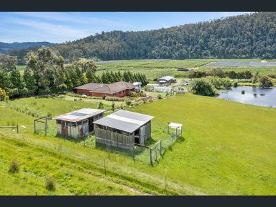 1557 Nicholls Rivulet Road, Nicholls Rivulet