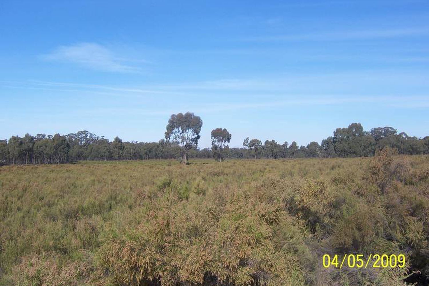 Willows Road, Murchison