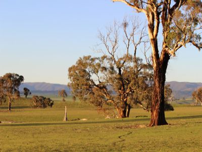 312 Bosworth Falls Road, O'connell