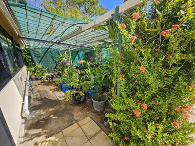 91 Hope Street, Cooktown